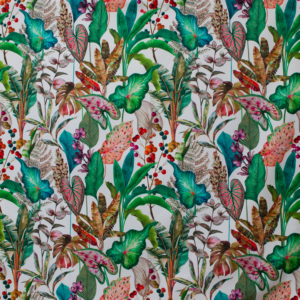 Colorful tropical leaf pattern on a white background