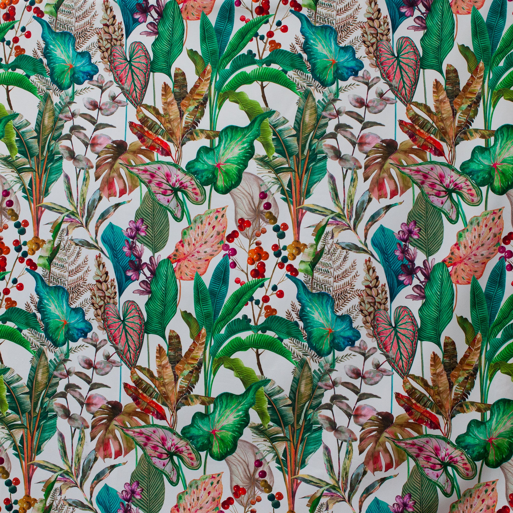 Colorful tropical leaf pattern on a white background