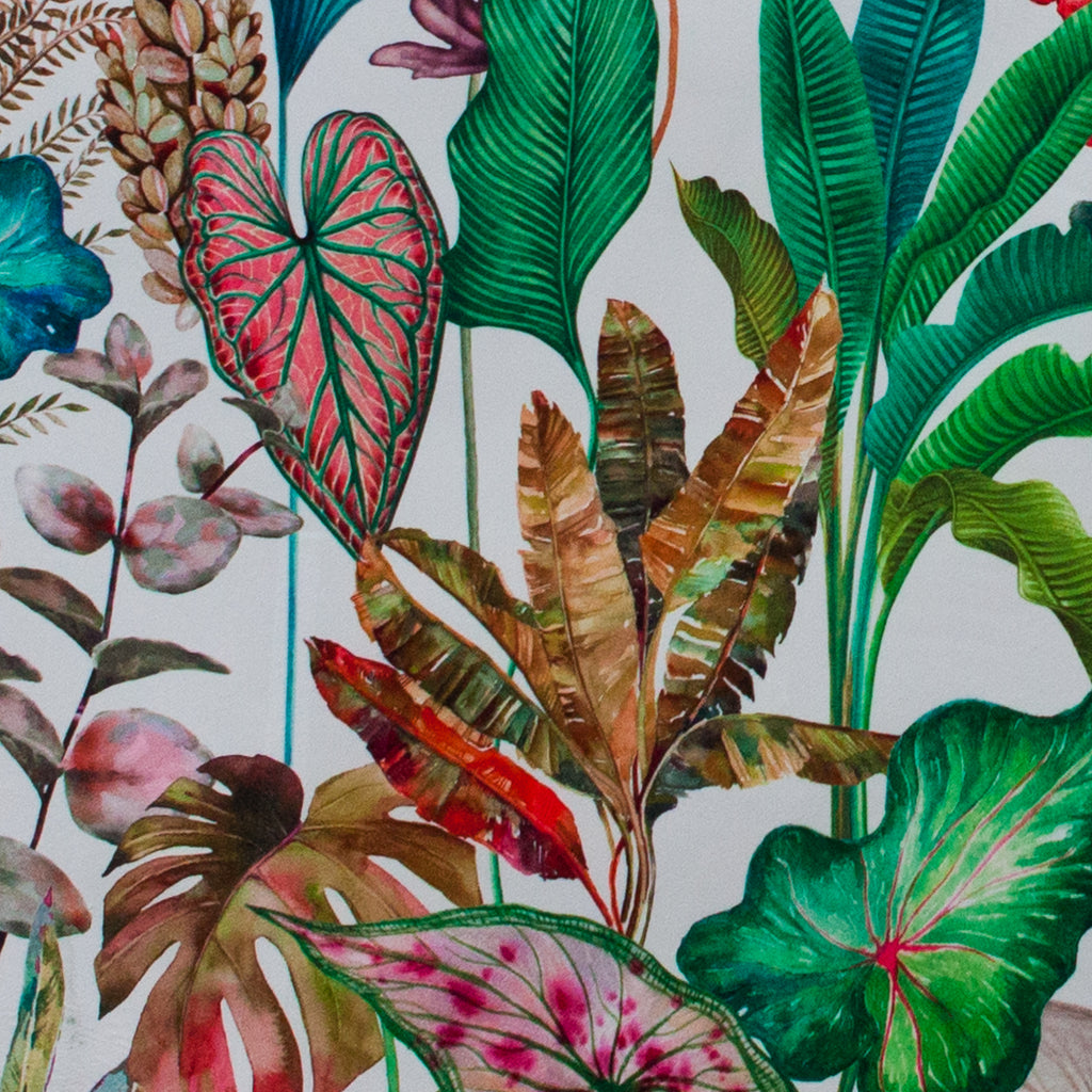 Colorful tropical leaf pattern on a white background