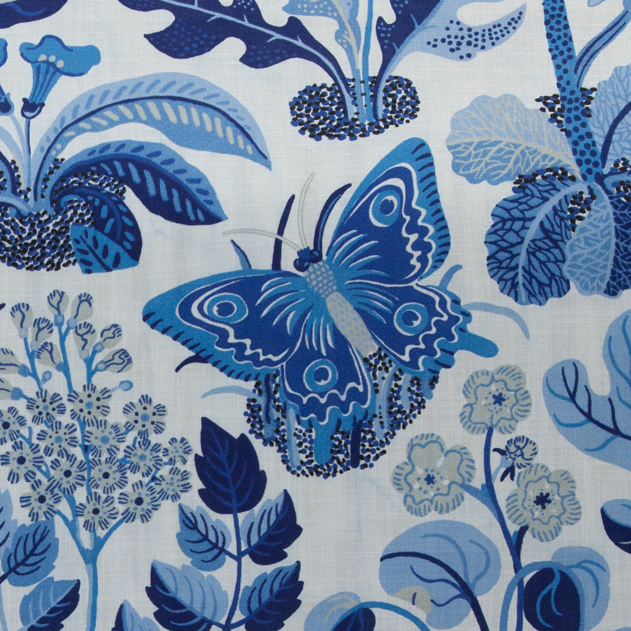 Blue butterfly and floral pattern on a white background