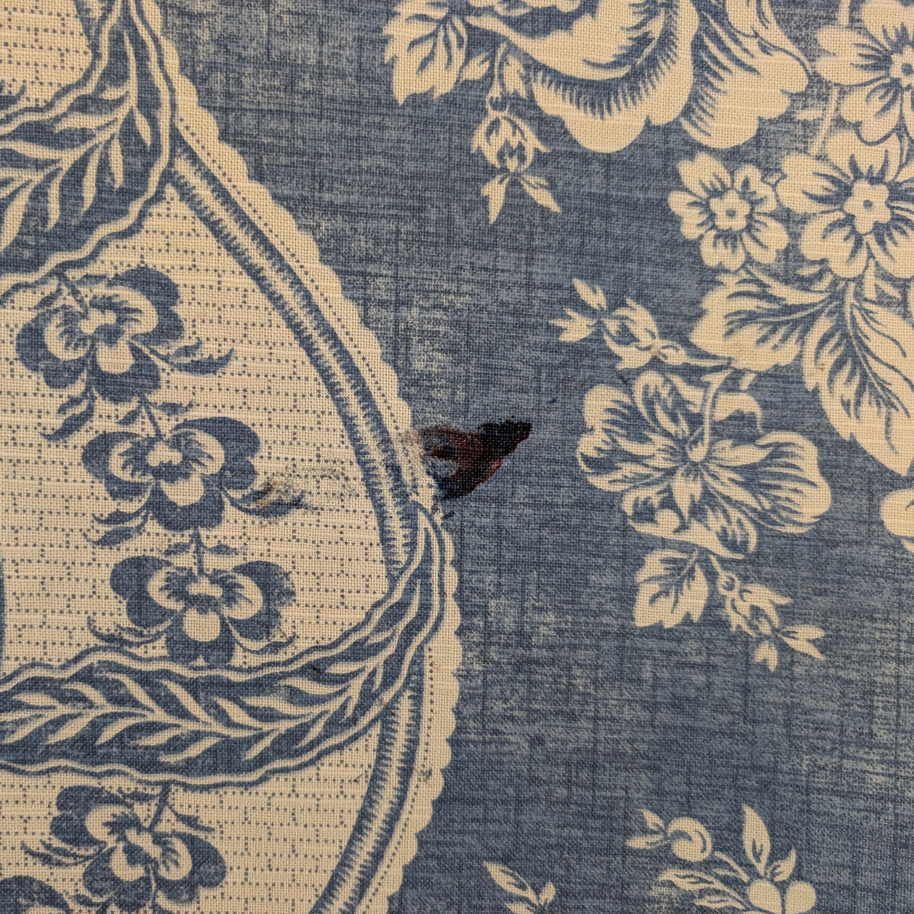 Scott & Cole 'Fontaine' Remnant