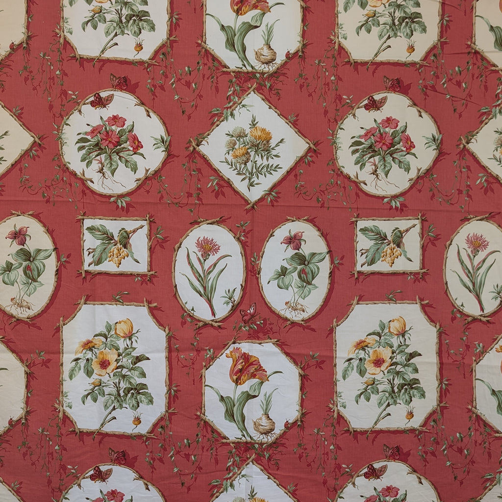 Greeff 'Greenbrier Botanical' Remnant