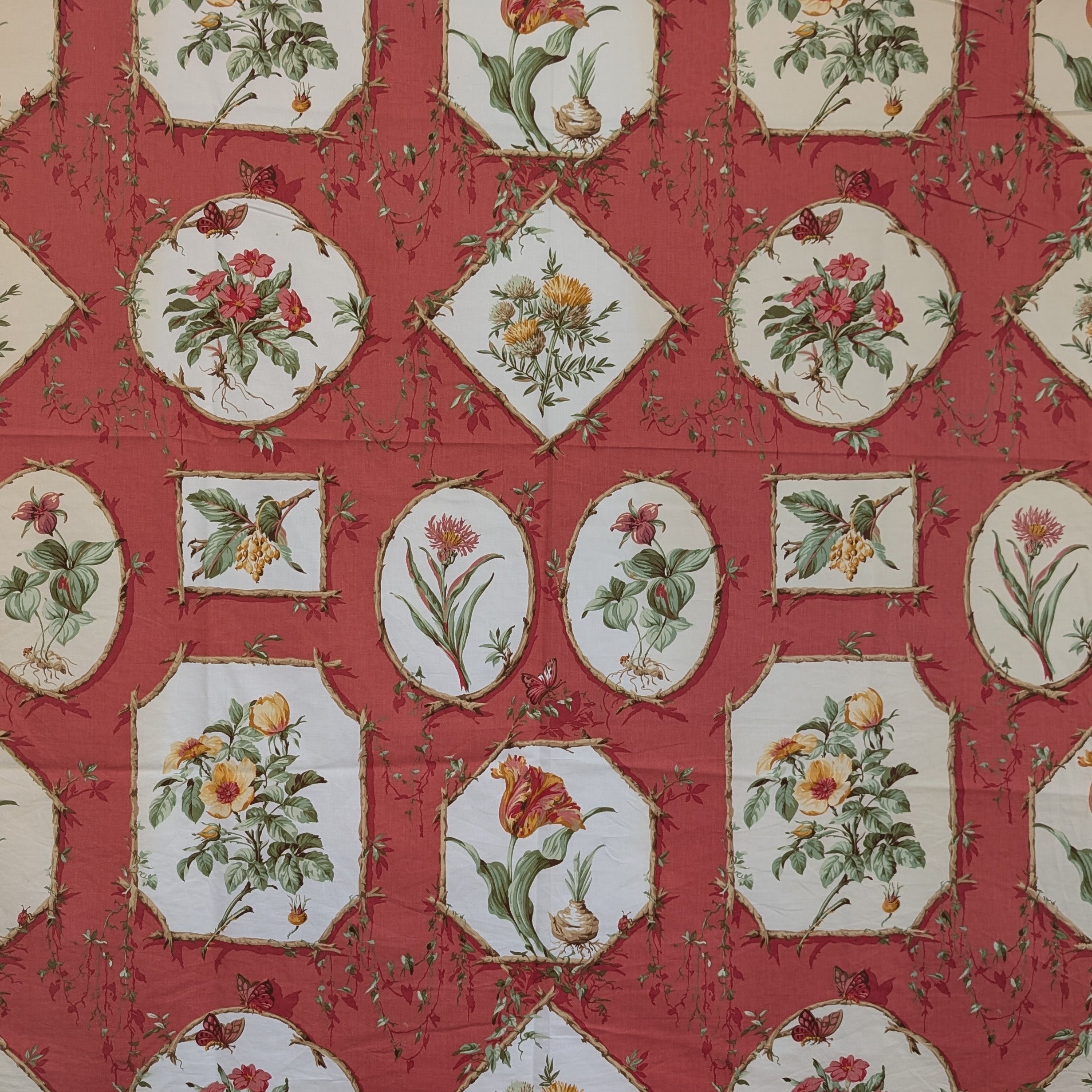 Greeff 'Greenbrier Botanical' Remnant