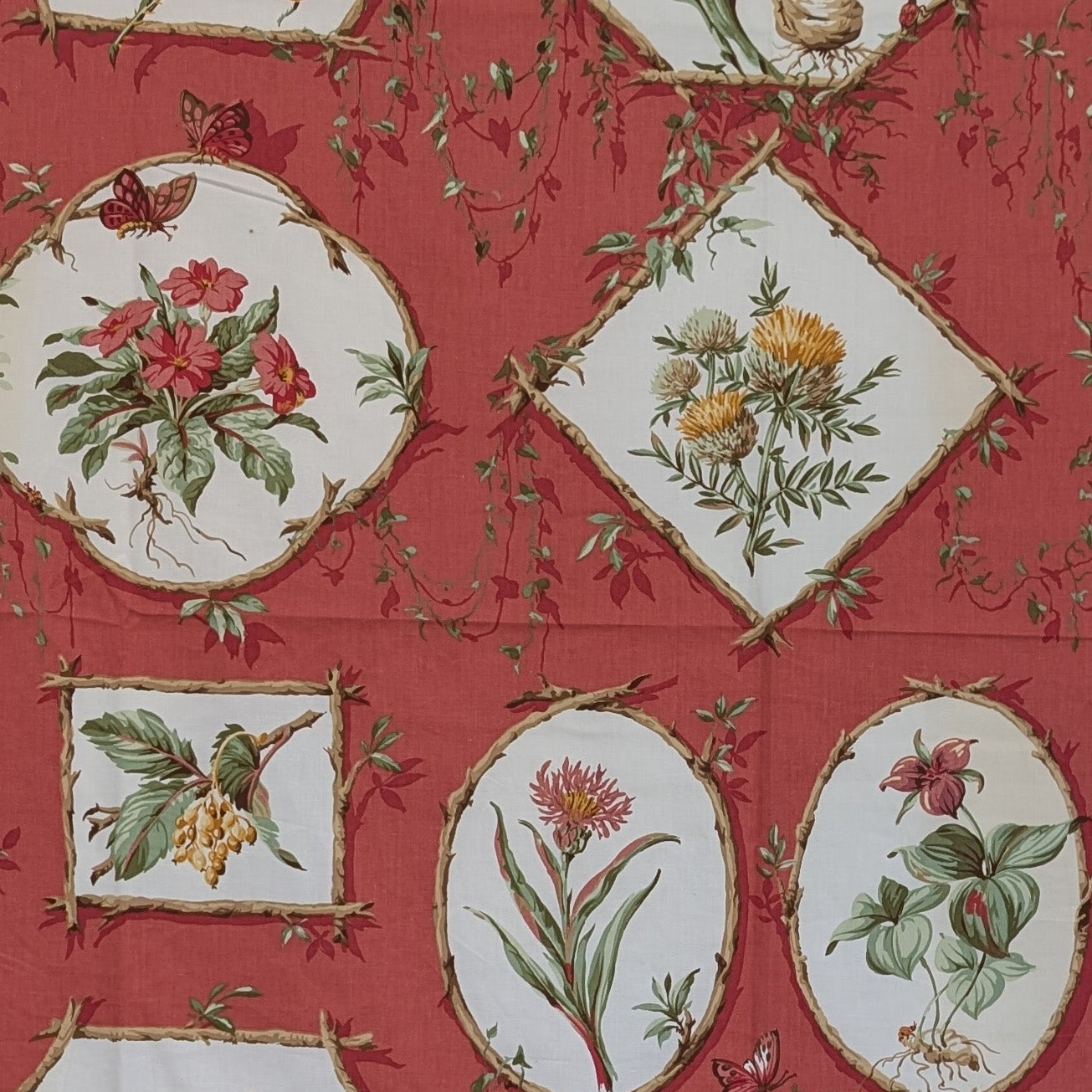 Greeff 'Greenbrier Botanical' Remnant