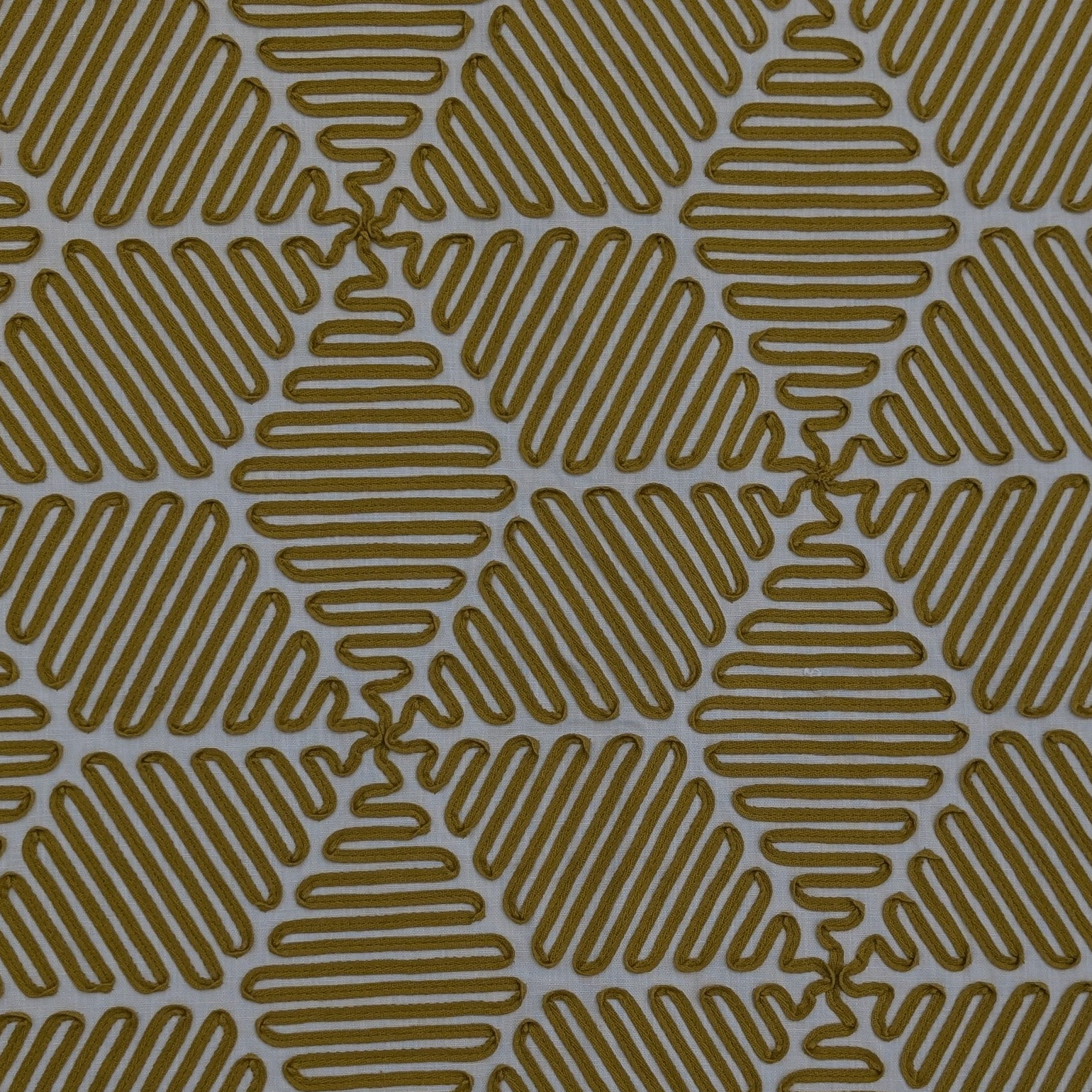 Harlequin 'Cupola' in Mustard Remnant