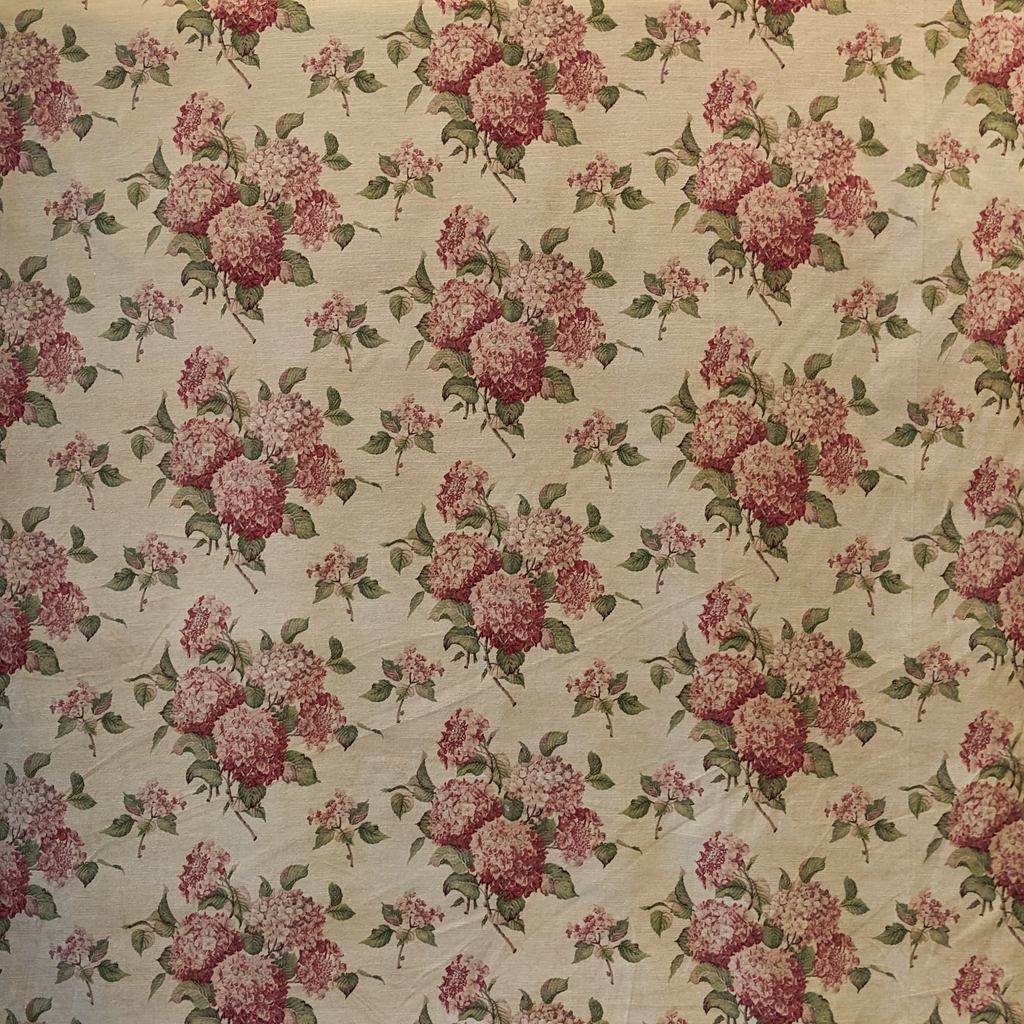 Hortensia velvet pink flowers on a cream background 