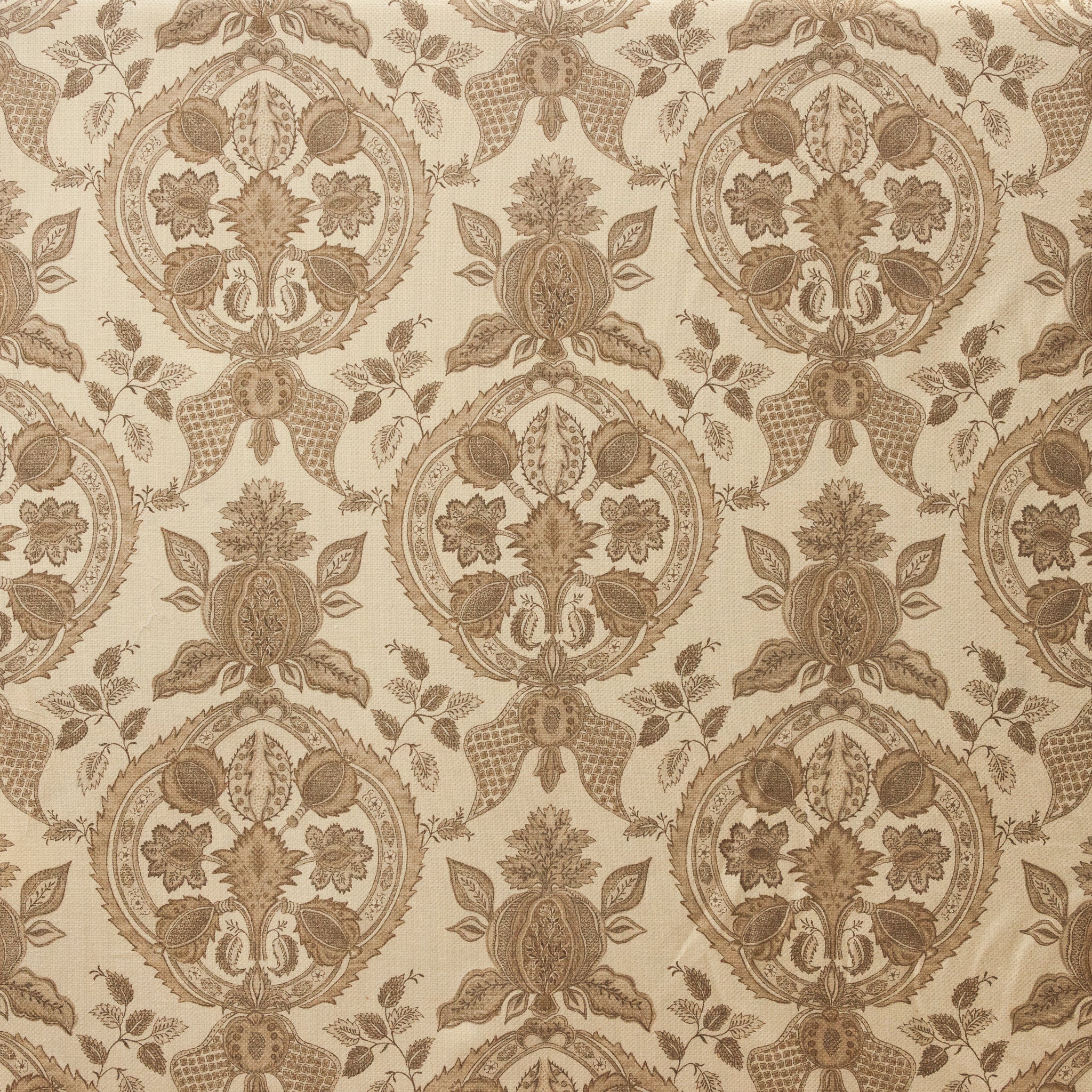 J.Baker ‘Malmaison’ Brown