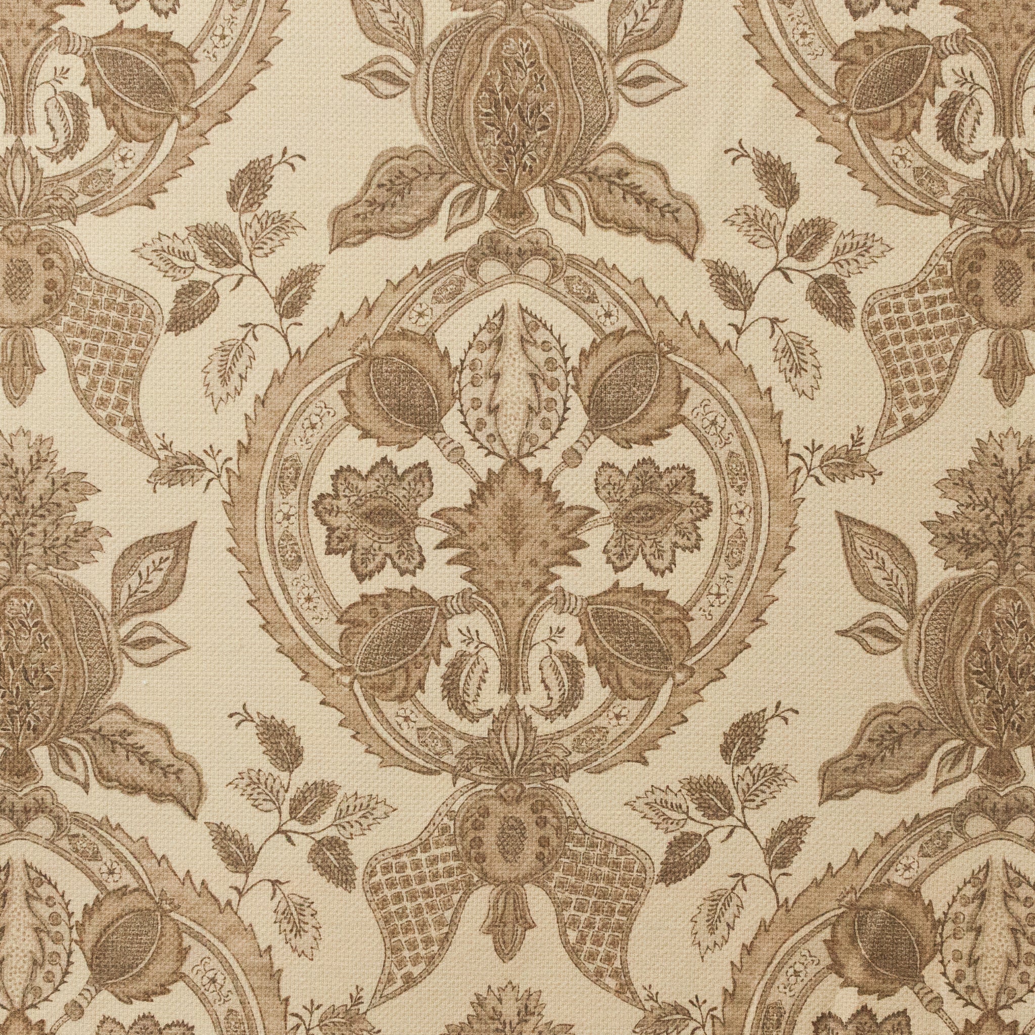 J.Baker ‘Malmaison’ Brown