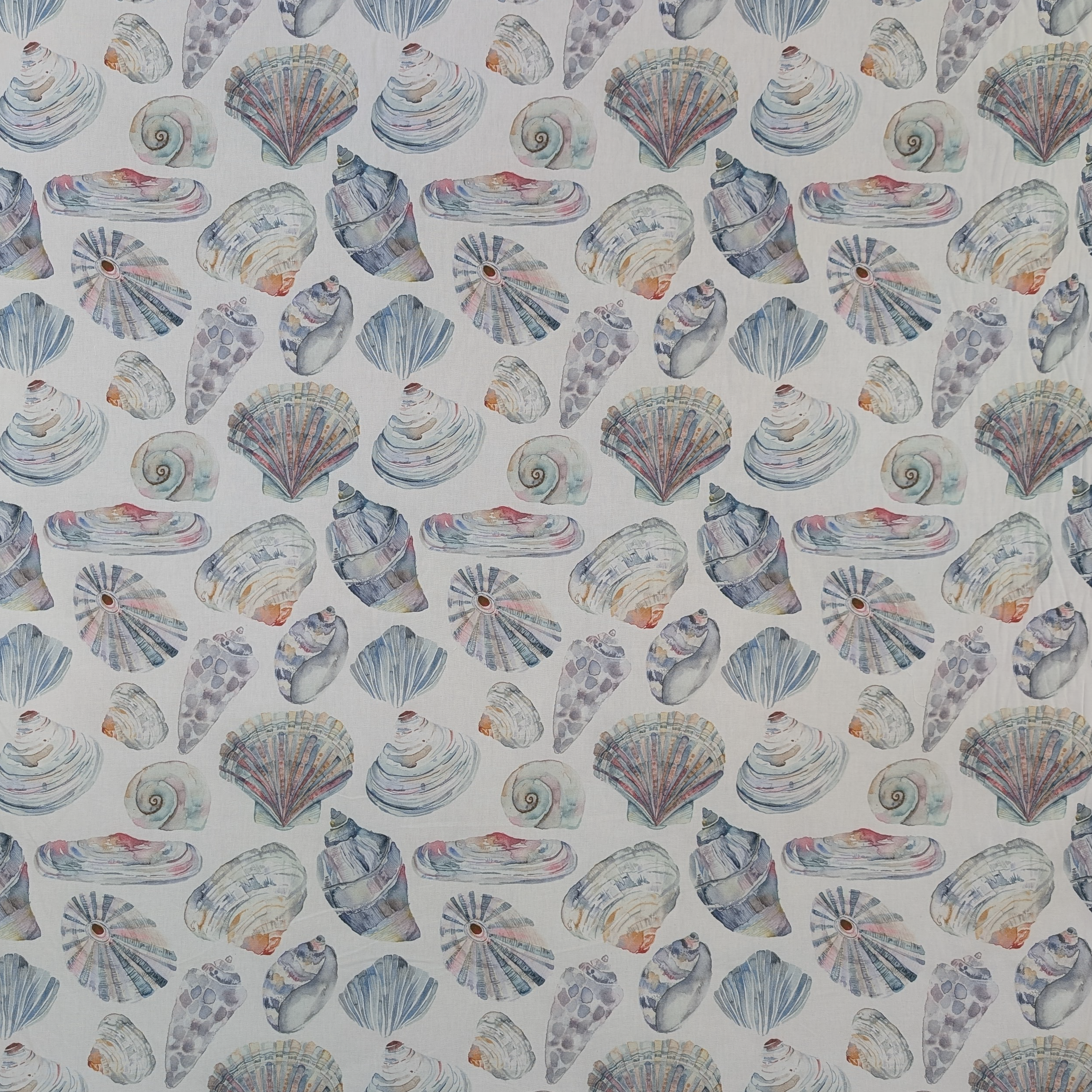 Pattern of watercolor shells on a light background