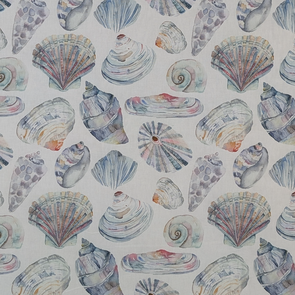 Pattern of colorful seashells on a light background