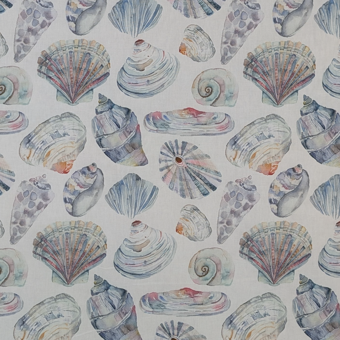 Pattern of colorful seashells on a light background