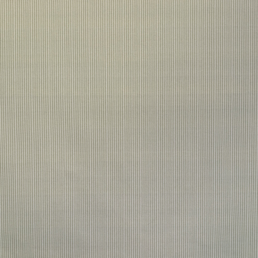 Absolutely Fabrics 'Ticking' Green