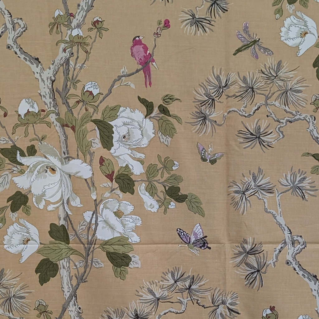 GP Baker 'Tree peony' Remnant