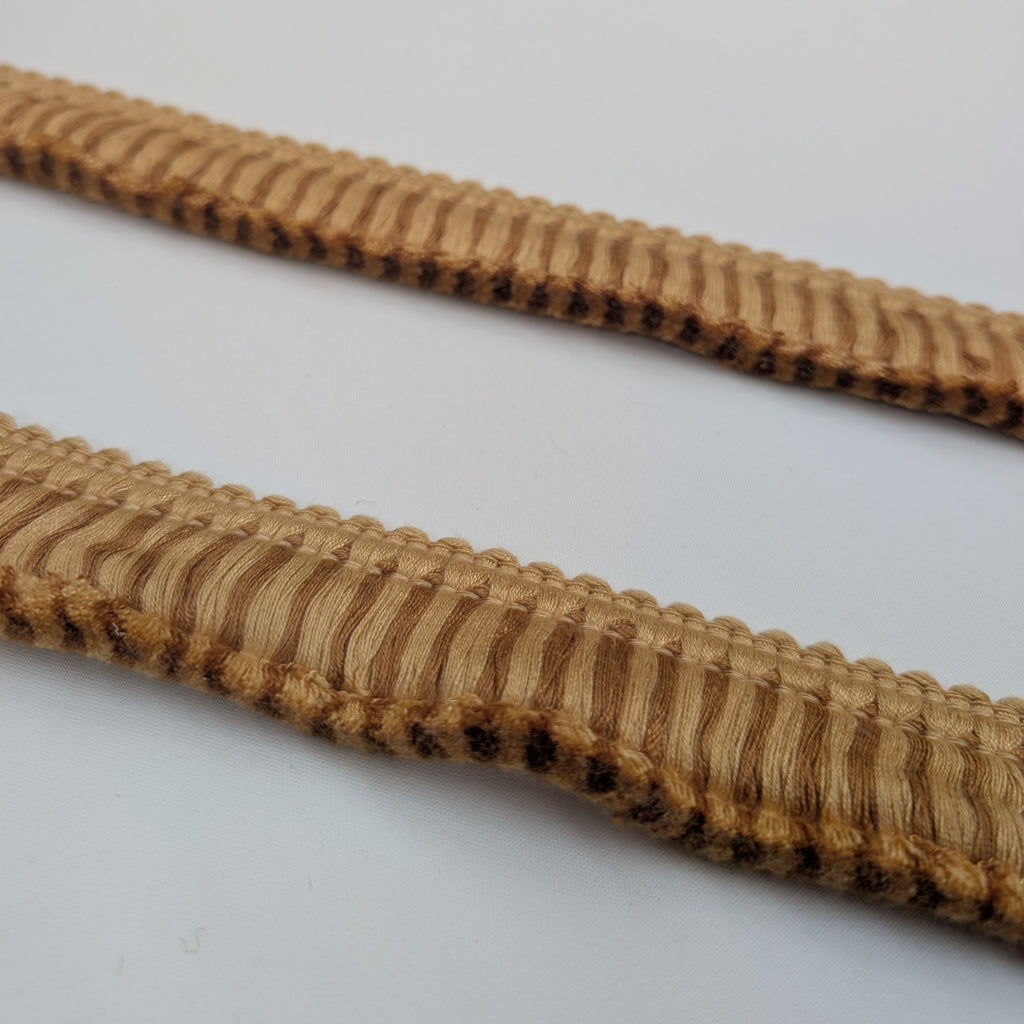 Absolutely Fabrics ‘Two Toned Roche' Gold