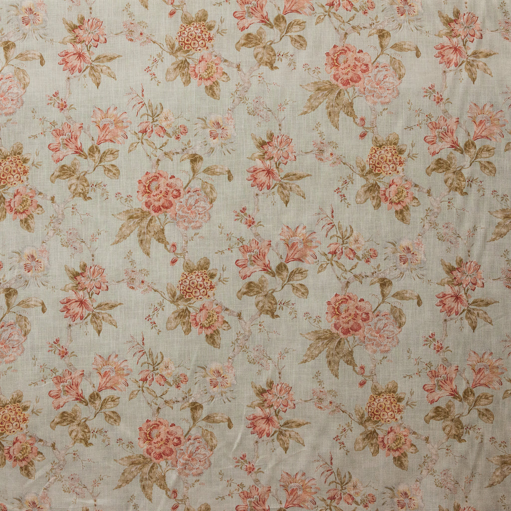 Linwood ‘Tresco’ Peppermint