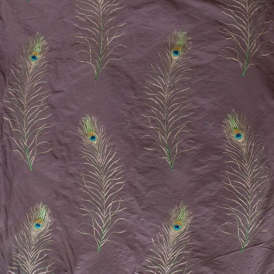 Peacock Feather